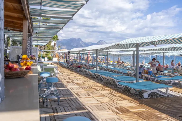 The Blue Flamingo Bar